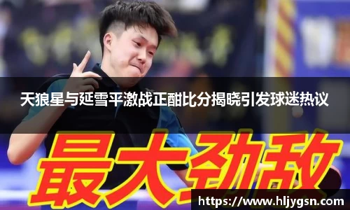 天狼星与延雪平激战正酣比分揭晓引发球迷热议